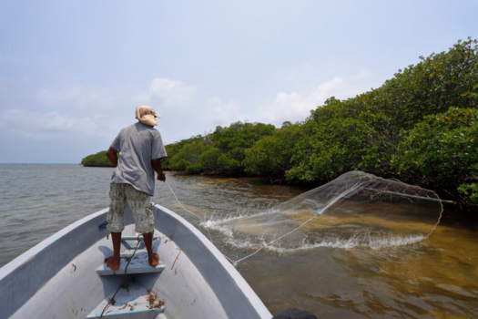 Belize - The art of throwing the fishing net.