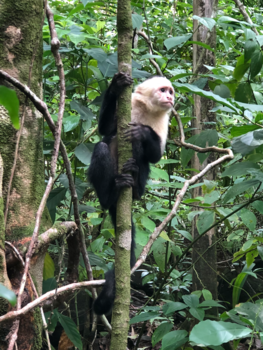 Costa Rica - Manuel Antonio National Parque