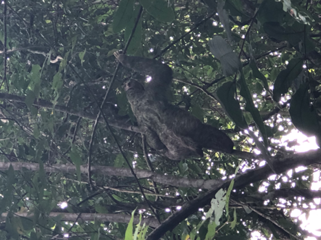 Costa Rica - Manuel Antonio National Parque