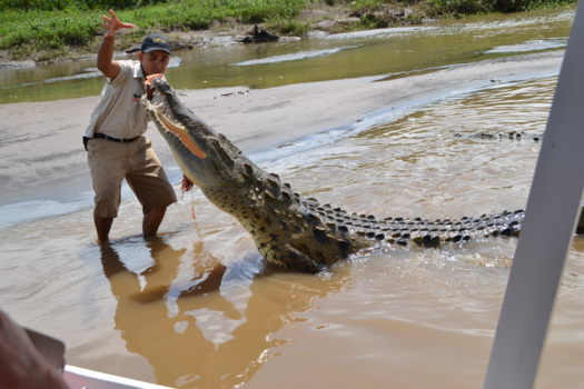 Rondreis hoogtepunten Costa Rica - Lekker hapje!