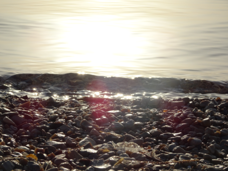 Bonaire - De dode zee verlicht door warme zonnestralen