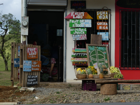 Costa Rica in drie weken - Pura Vida!