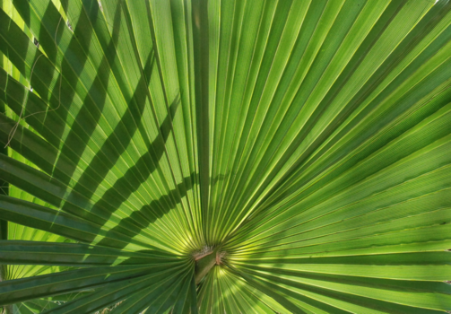 Curaçao - Need some shadow?
