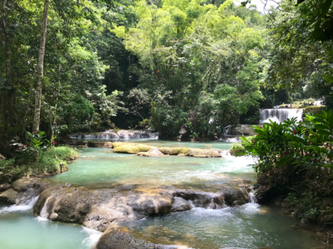 Jamaica - The best place to take a bath is in the middle of the jungle 🌿
