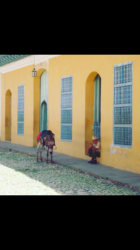 Santiago de Cuba - Een man met zijn ezel