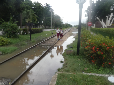 Cuba - Op weg naar volwassenheid
