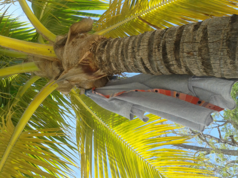 Bahama's - Relax man!