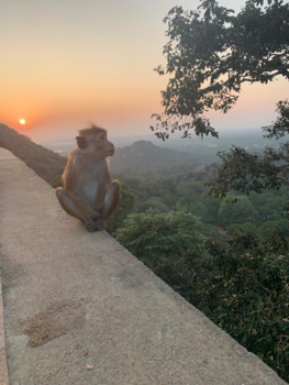 Nicaragua - Sri Lanka