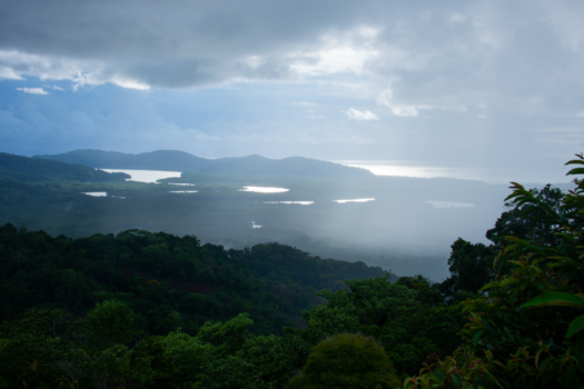 Costa Rica - Osa Peninsula, Costa Rica