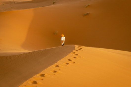 Rondreis Noord-Costa Rica - Lonely in the desert