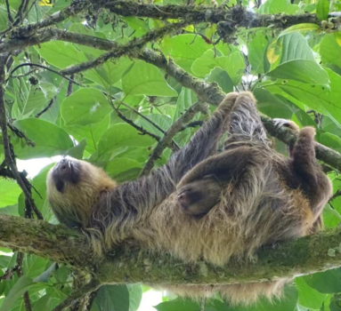 Sarapiqui - Het mooiste wat er is! Moeder met baby