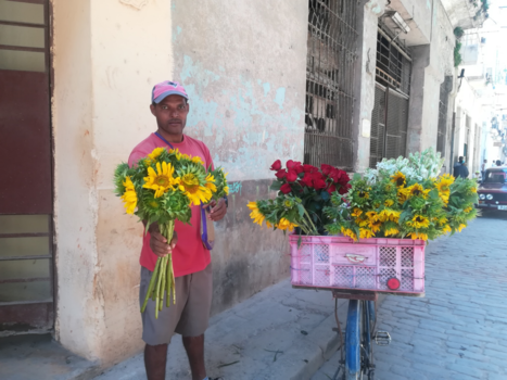 Havana - Bloemen verkoper op straat