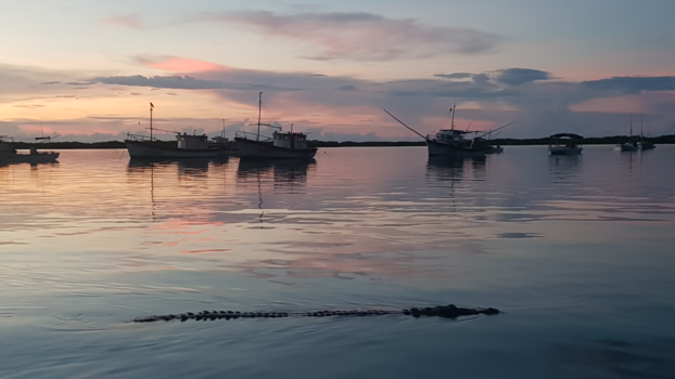 Mexico - Crocodile loves Sunset