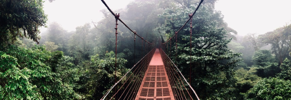 Costa Rica - Hanging Bridges - Monteverde Costa Rica