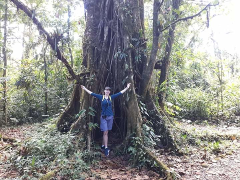 Costa Rica - Stretching to the sky
