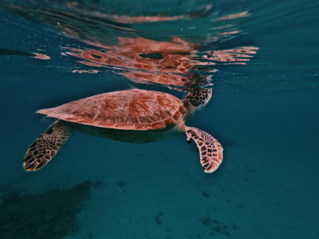 Curaçao - Time to breathe