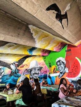 Curaçao - Eat like the locals