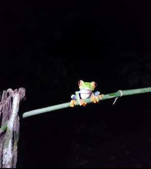 Cahuita National Park