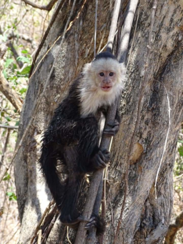 Costa Rica - Lekker bekkie