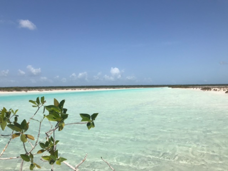 Laguna Bacalar - Natuurlijk blauw