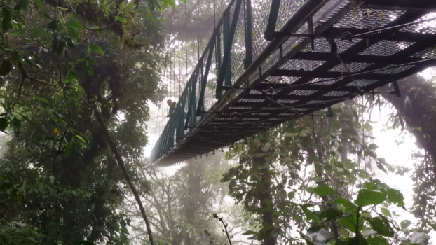 Costa Rica in drie weken - Zwevende brug in het regenwoud