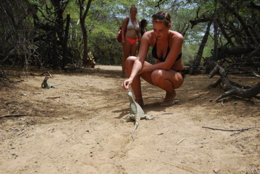 Bonaire - National park