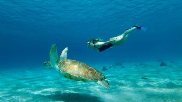 Curaçao - De schoonheid van de zee