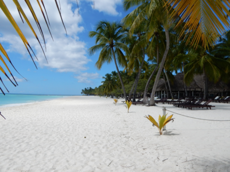 Punta Cana - Beautiful Saona