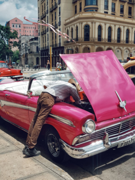 Havana - Pink panter