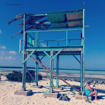 Bonaire - Blue monday