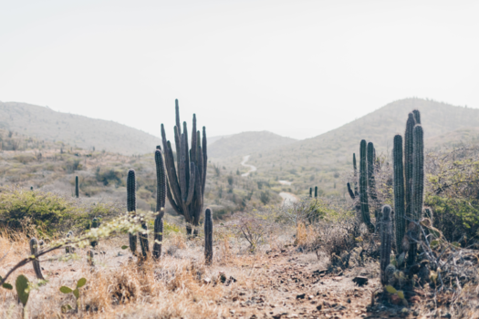 Aruba - Arikok National Park