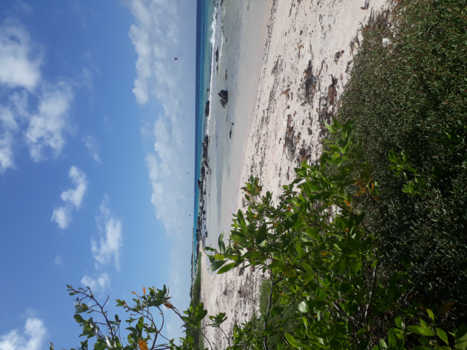 Bonaire