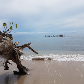 Costa Rica in drie weken - Carribean beach.