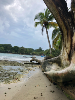 Rondreis Caribische kust Costa Rica - Zonneschijn na een heftige storm