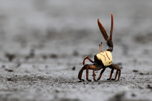 Costa Rica in drie weken - Ga je nu alweer weg, nou tot ziens dan maar weer.