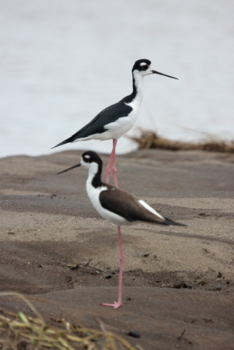 Rondreis hoogtepunten Costa Rica - Ik sta erboven