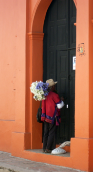 Mexico - I bring you flowers in Mexico