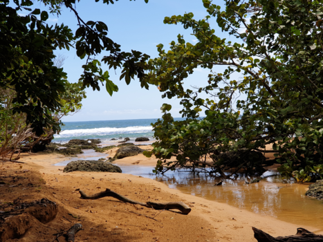 Bocas del Toro - Plaza bluff beach