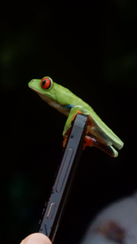 Rondreis Noord-Costa Rica - Natuur en techniek maken kennis