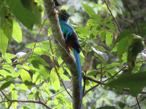 Boquete - The beauty of Panama😍