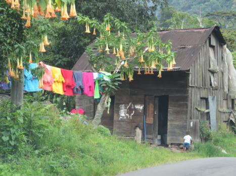 Boquete - Een indianen wasje......