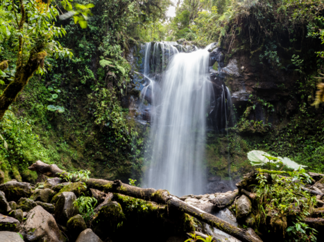 Panama - De verloren waterval