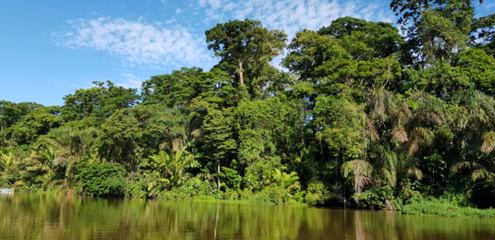 Costa Rica - Tortuguero waters
