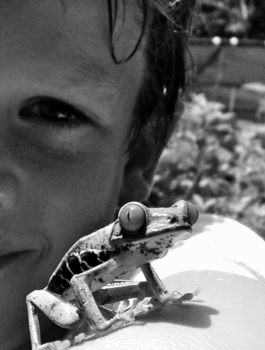 Rondreis Caribische kust Costa Rica - Kikkeravontuur