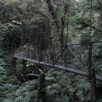 La Fortuna - Hanging Bridges costa rica