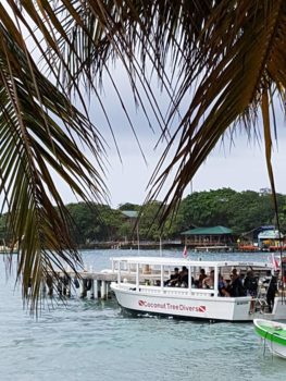 Roatán - Coconut Tree Divers