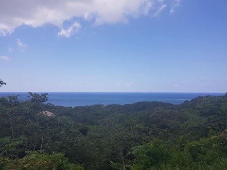 Roatán - View