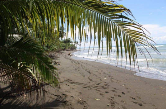 Corcovado National Park - Strand Corcovado Nacional parque
