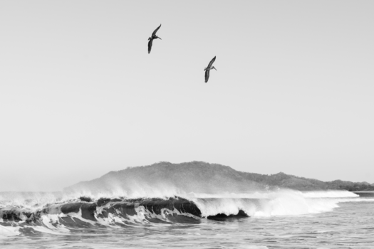 Tamarindo - Surfeando el Cielo