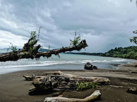 Costa Rica - Vlak voor de onweersbui